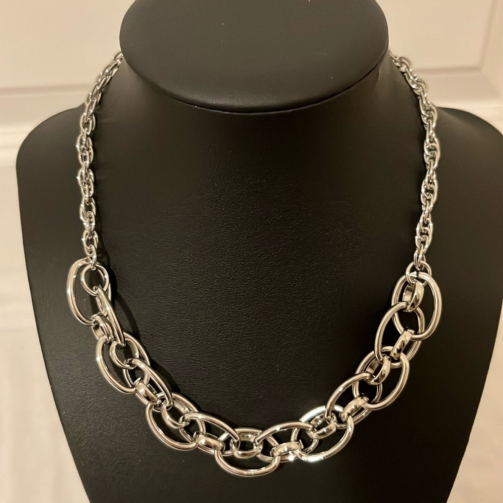 Banana Republic Factory Silver Chain Link Necklace
